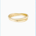 Simple Modern Double-ring Titanium Steel Ring With 18k Gold Plating
